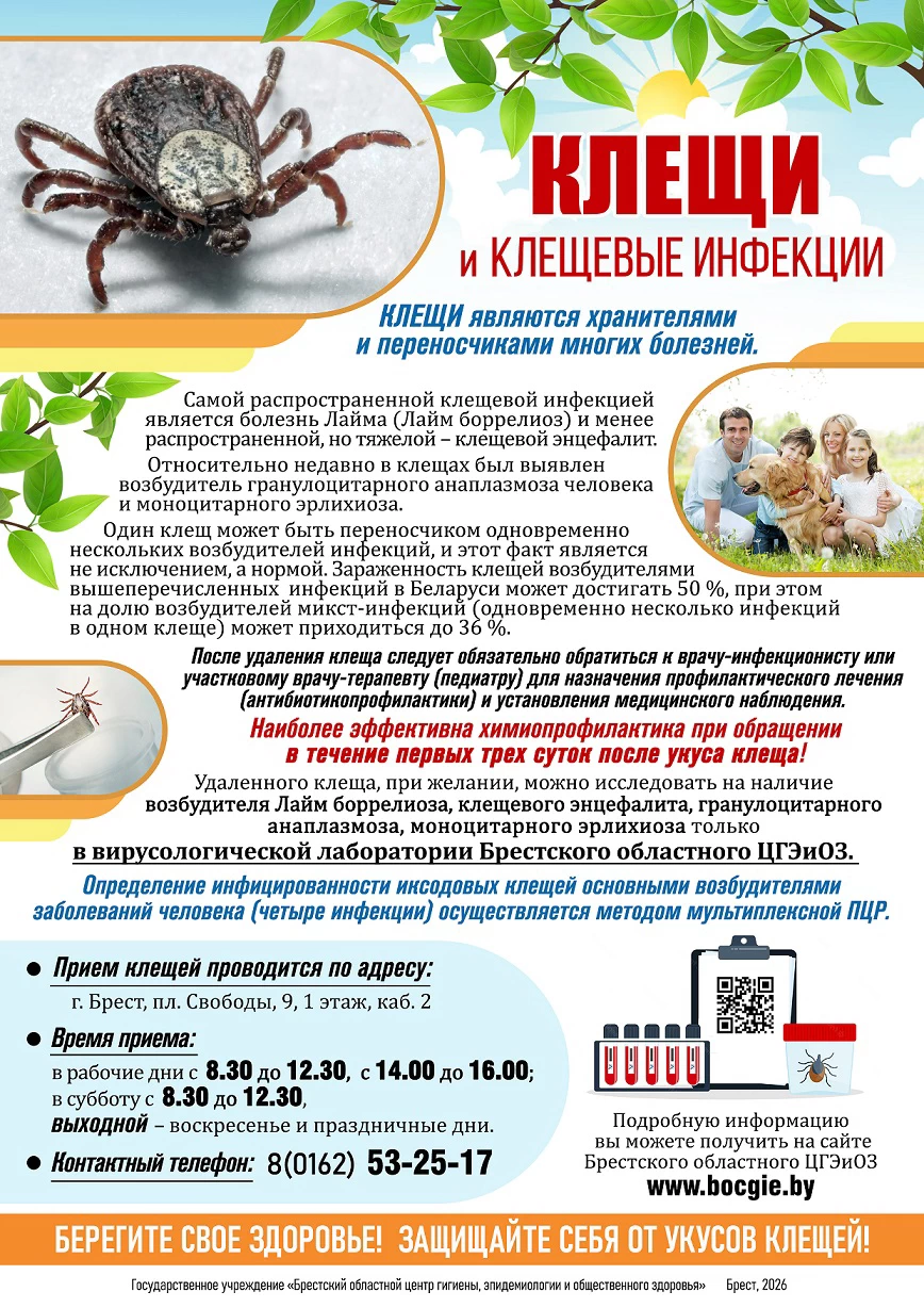 Клещи и клещевые инфекции